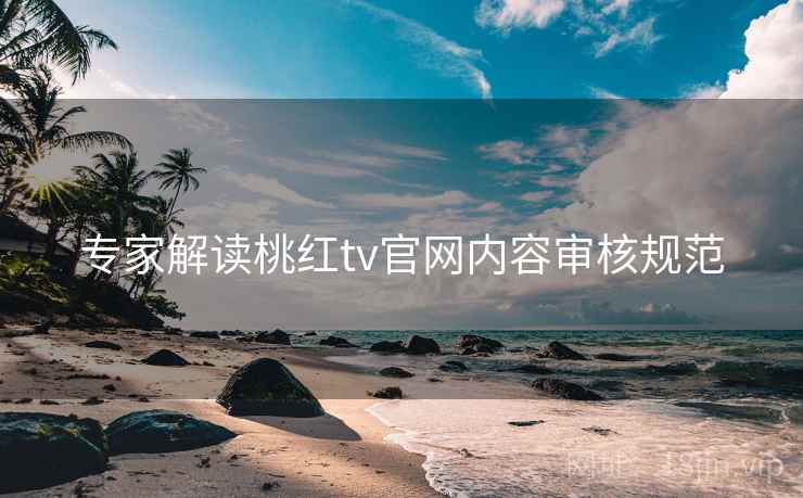 专家解读桃红tv官网内容审核规范
