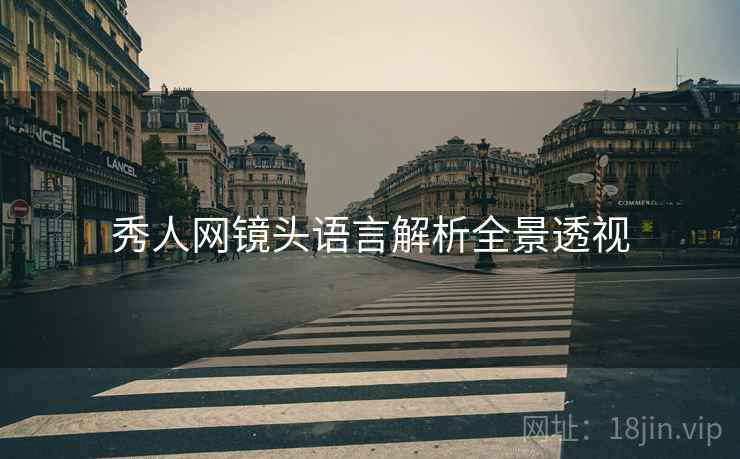 秀人网镜头语言解析全景透视
