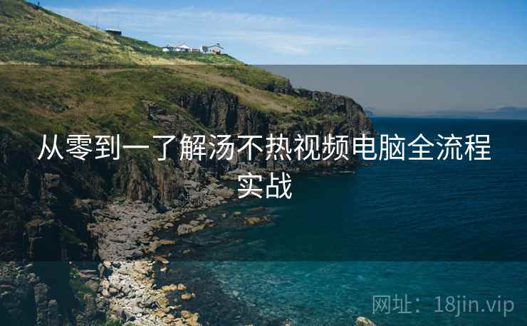 从零到一了解汤不热视频电脑全流程实战