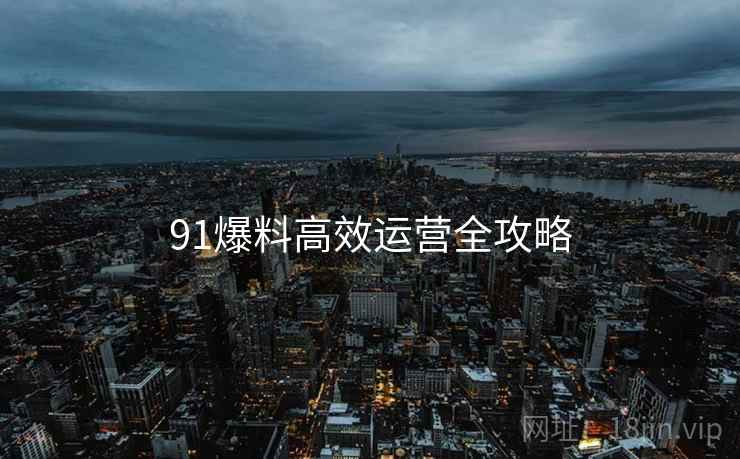 91爆料高效运营全攻略