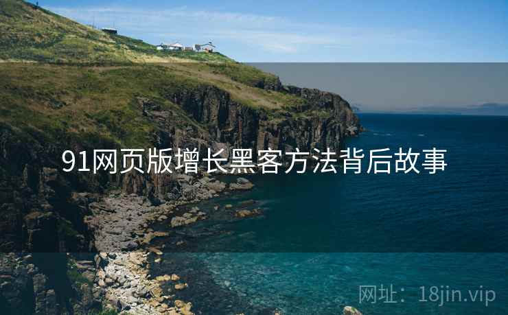 91网页版增长黑客方法背后故事