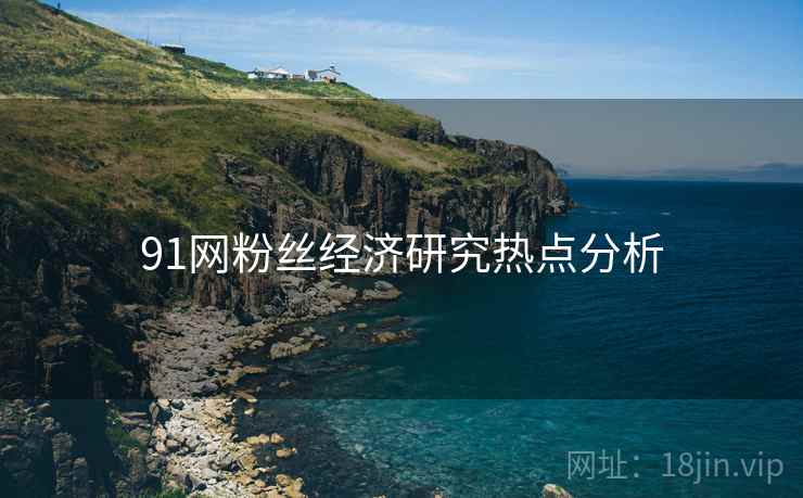91网粉丝经济研究热点分析
