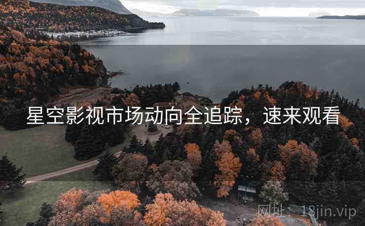 星空影视市场动向全追踪，速来观看