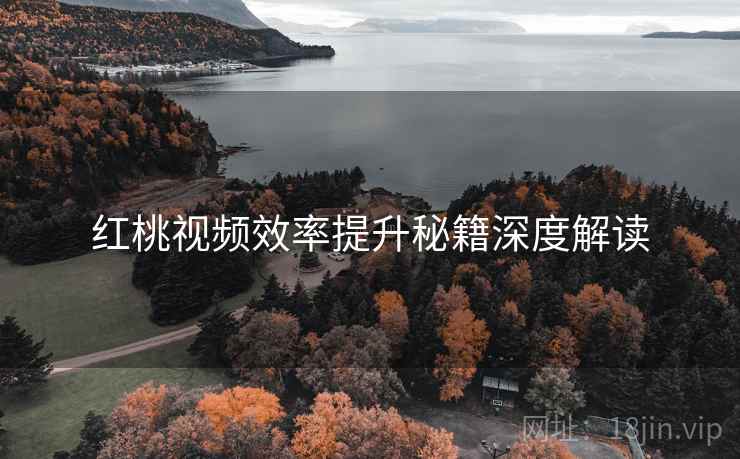 红桃视频效率提升秘籍深度解读