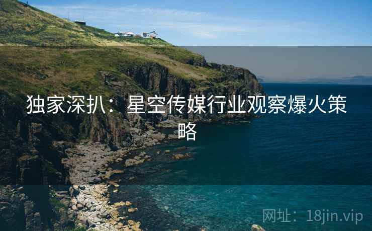 独家深扒：星空传媒行业观察爆火策略