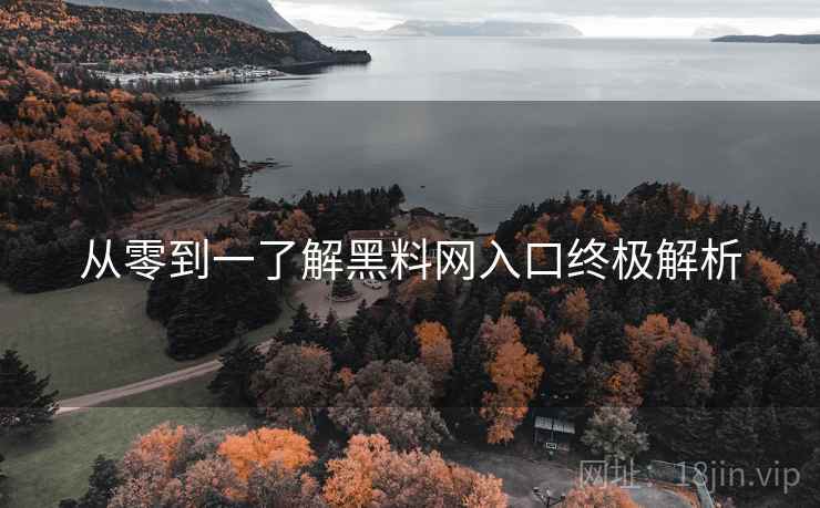 从零到一了解黑料网入口终极解析