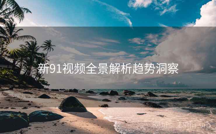 新91视频全景解析趋势洞察